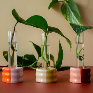 Handmade Ceramic Propagation Test Tube Stand | Clay Propagation Stand | Handcrafted Plant Display | Modern Ceramic Plant Stand