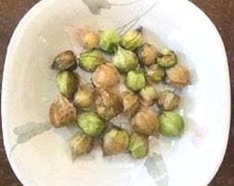 菇娘 甘いゴールデンベリーの種 12個