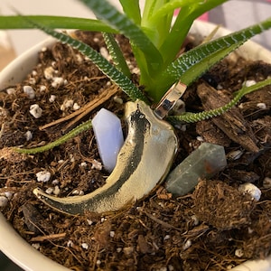 Schwere Sandguss Messing Bärenklaue Anhänger