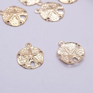11x13.5mm 14K Gold Filled Sand Dollar Charm