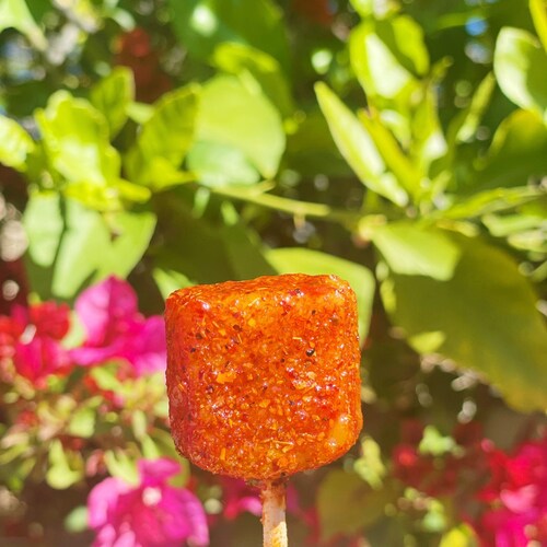 Spicy Watermelon Lollipop Chamoy Tajin Covered Mexican Chile Etsy