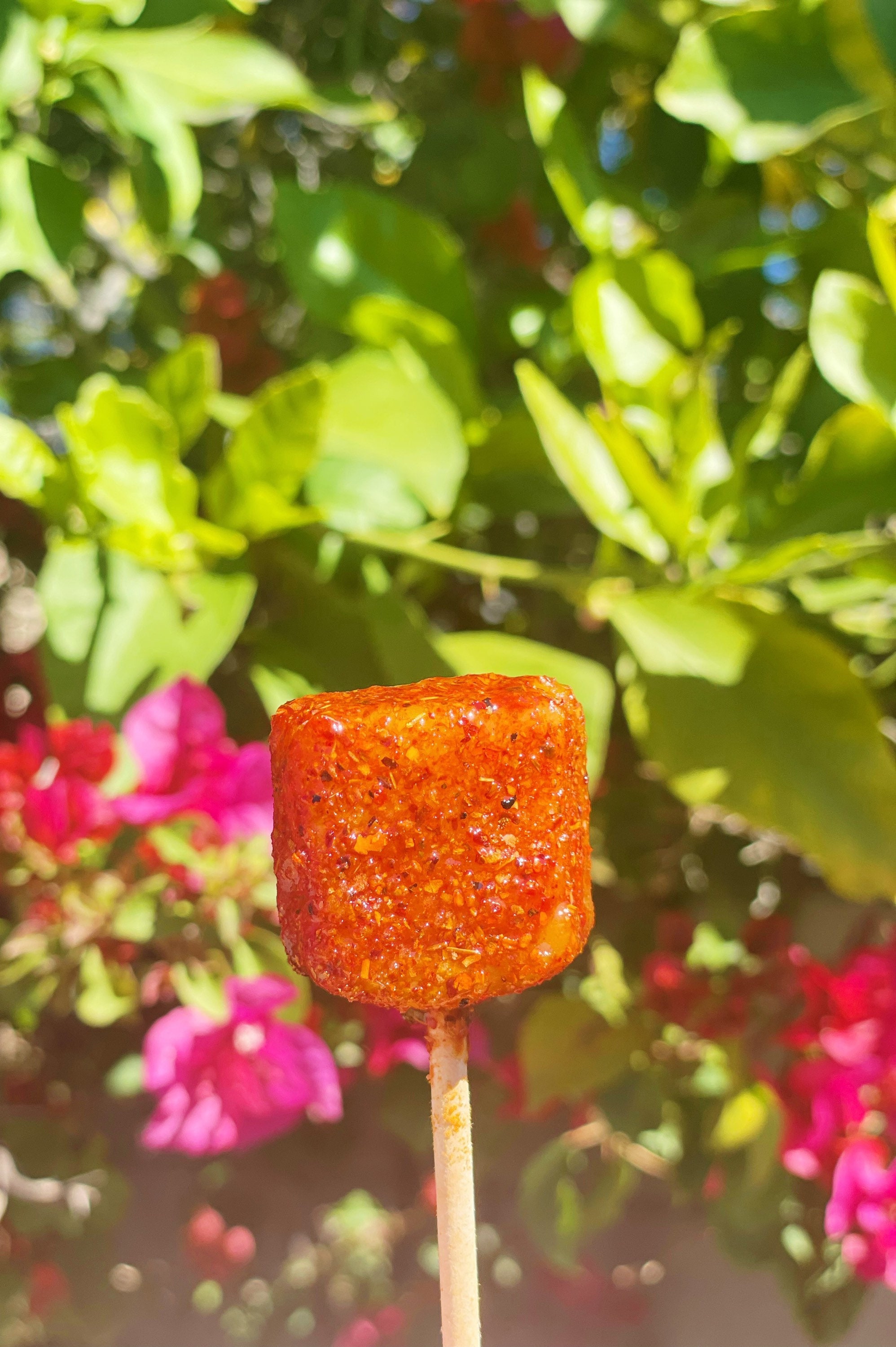 Spicy Mango Lollipop / Chamoy Tajin Covered Mexican Chile Etsy