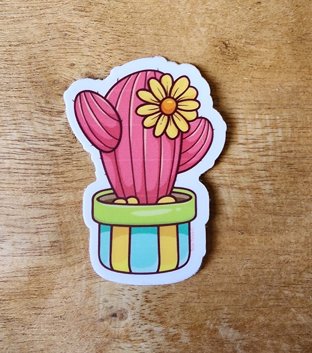 Pink Cactus Vinyl Sticker Decal Etsy