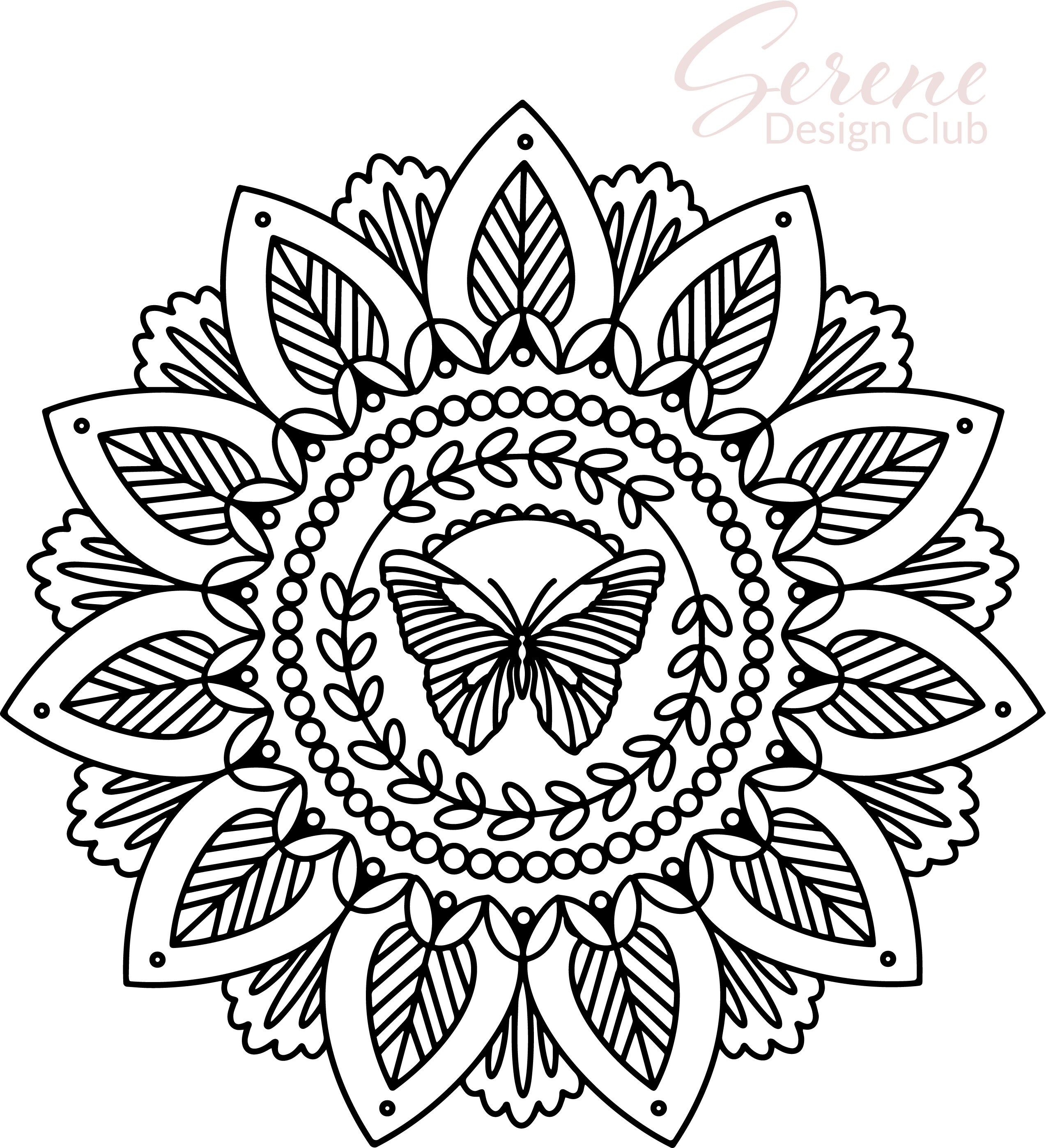 hand drawn butterfly mandala coloring page etsy