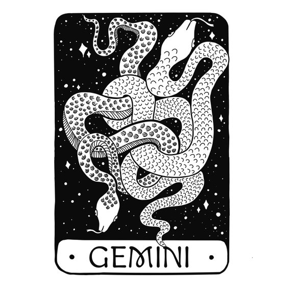 Gemini Sticker | Zodiac Sign | Snakes | Waterproof | - Etsy