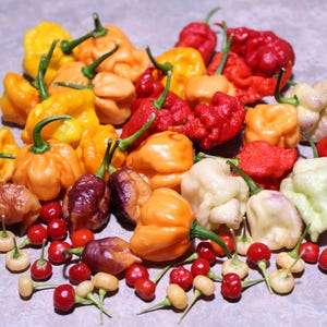Fresh Superhot Pepper Mix: Rare & Spicy, Picked to Order
