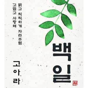 May include: A watercolor painting of a green branch with leaves and the Korean words "Bae-ul" in black ink. The words are written vertically and the word "Bae" is larger than the word "ul". The word "ul" is written in a smaller font and is below the word "Bae". There is a red stamp with the word "福" in white ink.