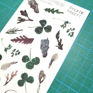 Choses que j'ai trouvées à l'extérieur - Feuilles d'autocollants !! Autocollants en vinyle sympas représentant la nature et des objets botaniques éphémères : trèfles, brindilles, feuilles et plus encore !