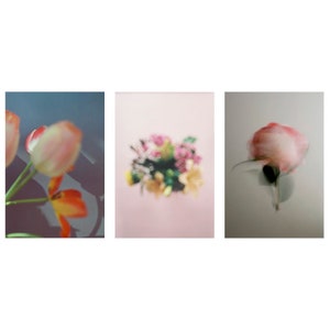 Conjunto de postales florales