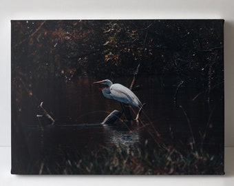 White Heron Canvas Print – Patient Hunter Wall Art