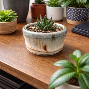 May include: A small, ceramic succulent pot with a textured, glazed finish. The pot is filled with soil and a small, spiky succulent plant. Other potted plants are in the background, creating a natural, indoor theme.