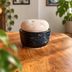 May include: A ceramic container with a dark blue and black speckled glaze, topped with a textured, off-white, rounded lid that resembles the surface of a moon. The vessel has a smooth, cylindrical shape and sits as a single, solid object.