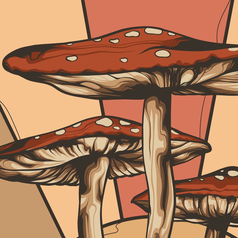 Psychedelic Sunset Canvas Wall Art - Retro 1970s Shroom Print- Trippy Magic Mushroom Poster - Hippie Kitchen Decor - Psilocybe Cubensis