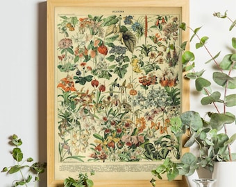 Vintage Flower Print, Botanical Print, Adolphe Millot, Floral Illustration, Wildflowers Art, Romantic Floral, Farmhouse Print, Antique Chart