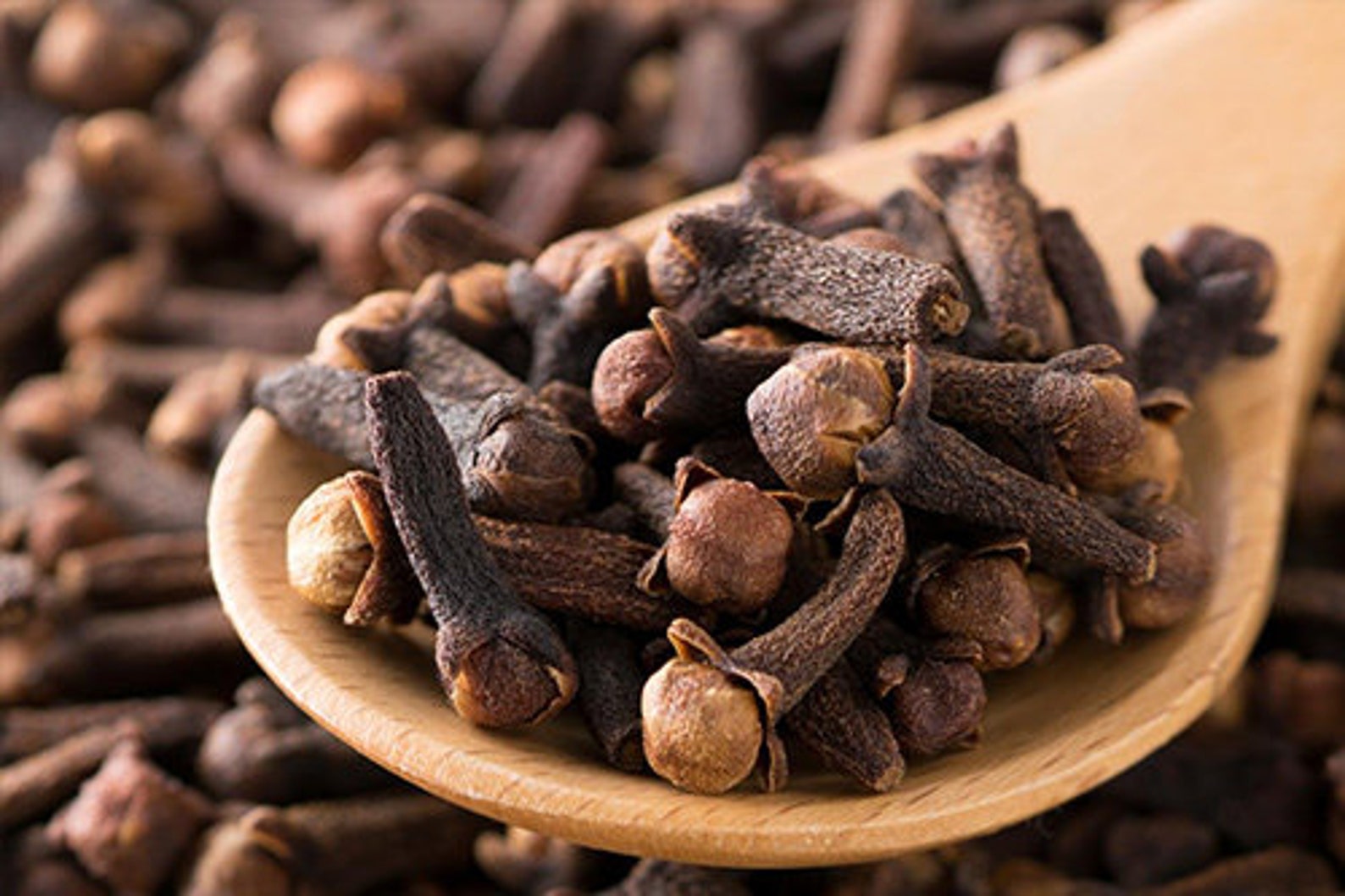 Ceylon Whole Cloves 100 ORGANIC Herbal Natural High Quality Etsy