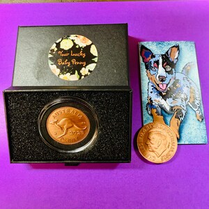 Baby 2025 Lucky Penny Coin in Capsule
