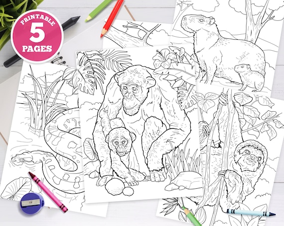 5 Printable Digital Coloring Pages for Kids Jungle Animals