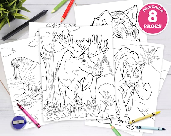 8 pack  Printable Digital Coloring Pages for Kids. Alaska