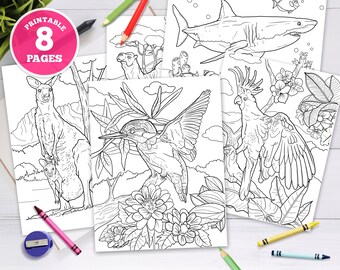 8 pack - Printable Digital Coloring Pages for Kids, Australian Wild Animals, Unique Illustrations, forest animals, woodland, nature, koala
