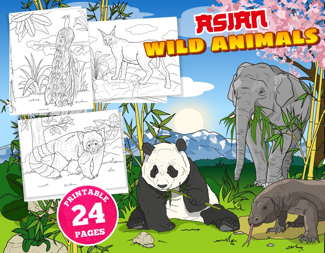 24 Digital Coloring Pages for Kids Asian Wild Animals , Tropical, Pdf