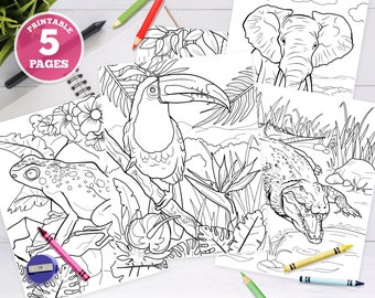 5 dibujos digitales imprimibles para colorear para niños, animales de la selva, ilustraciones únicas, animales de la selva tropical, bosques, naturaleza, pdf, descargar, tucán