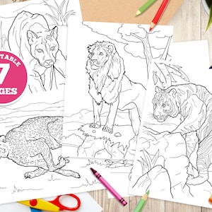 子供向けの印刷可能なぬり絵 7 枚、大型ネコ科動物、ユニークなイラスト、即時ダウンロード、デジタル、PDF、ライオン、ピューマ、トラ、チーター、動物、猫