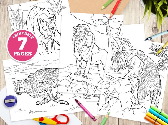 Printable Adult Color by Numbers Coloring Pages 8.5x11 Sheets Digital  Instant PDF Download -  Hong Kong