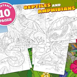 Reptiles and Amphibians digital coloring pages for kids, lizards, snakes, printable, pdf, instant download, animal art, reptile, chameleon