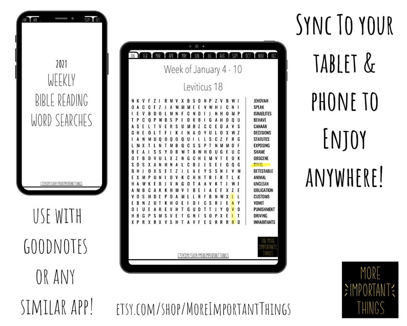 132 Bible Reading Word Search Leviticus 18 Judges 14 The More Important Things Pioneer Gift Family Worship Activity JW Games image 3