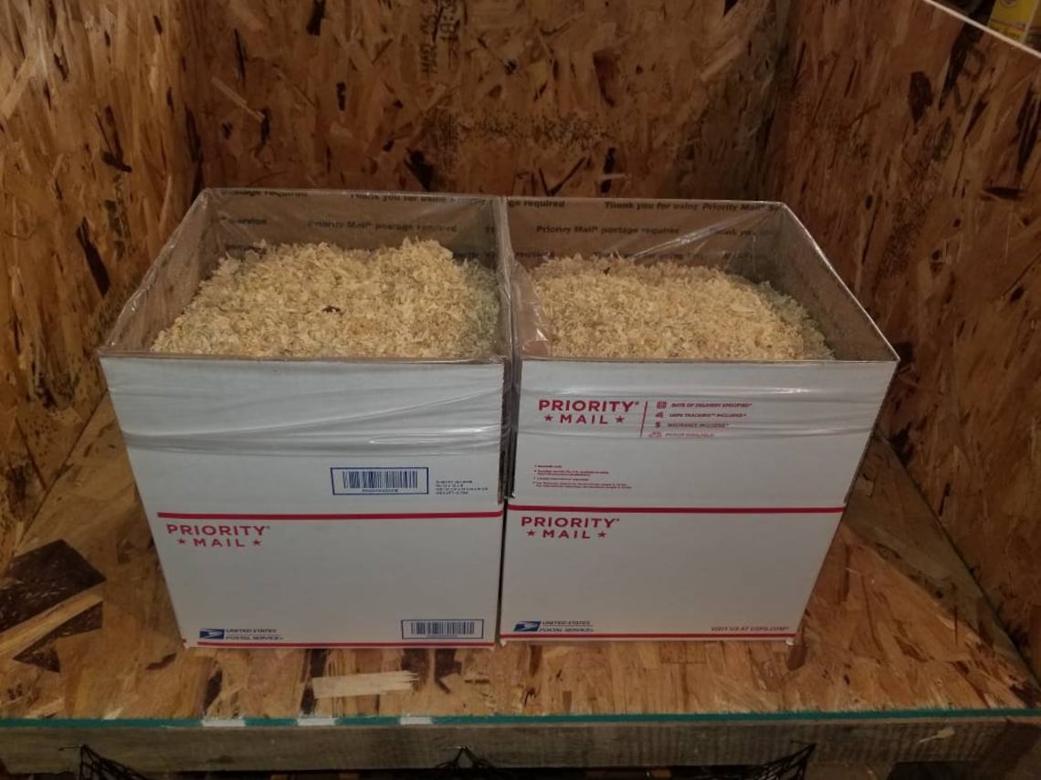 8 Lbs Aspen Shavings. Great Bedding for Your Pets Etsy