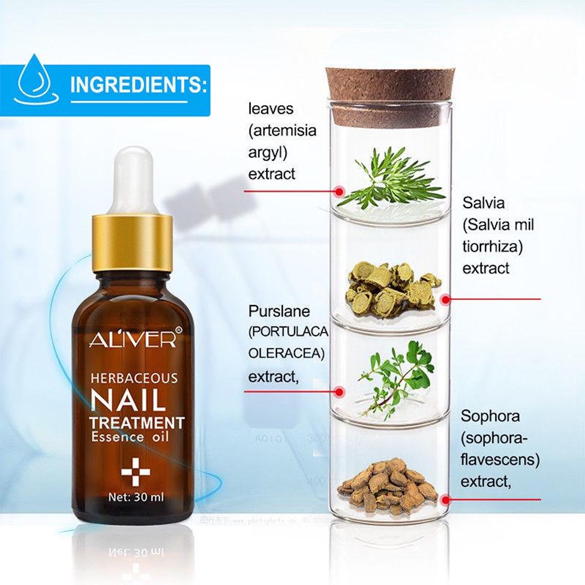 Herbaceous Nail Treatment Essence Natural AntiFungal Nail Etsy