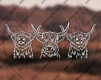 Könnte beinhalten: Eine weiße Strichgrafik mit drei nebeneinander angeordneten Köpfen von Hochlandrindern. Jedes Tier ist mit langem, zotteligem Fell, markanten geschwungenen Hörnern und einer deutlichen Schnauze in einem klaren, minimalistischen Vektorstil dargestellt.