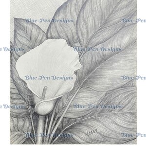 Set of Seven Assorted Flower Pencil Drawing Reprints, Blank Greeting Cards by Lacey