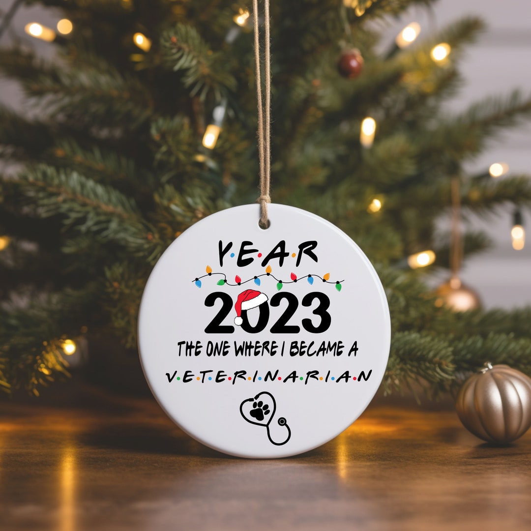 Veterinarian Ornament, First Time Veterinarian Gift, New Vet Gift, College Graduation Gift for