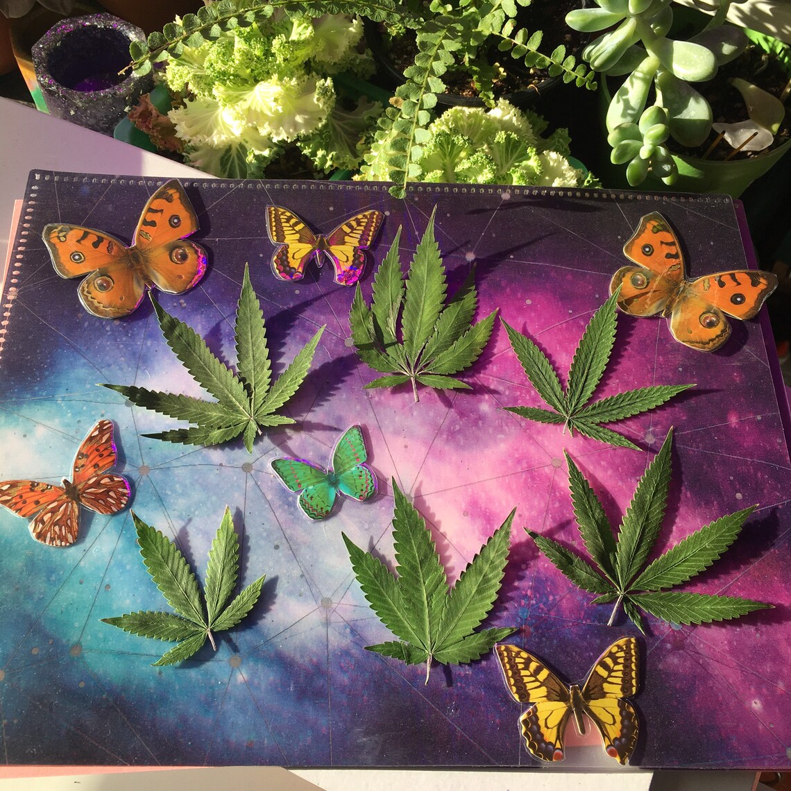 Cannabis Leafs Butterfly Resin Insert Pack Etsy