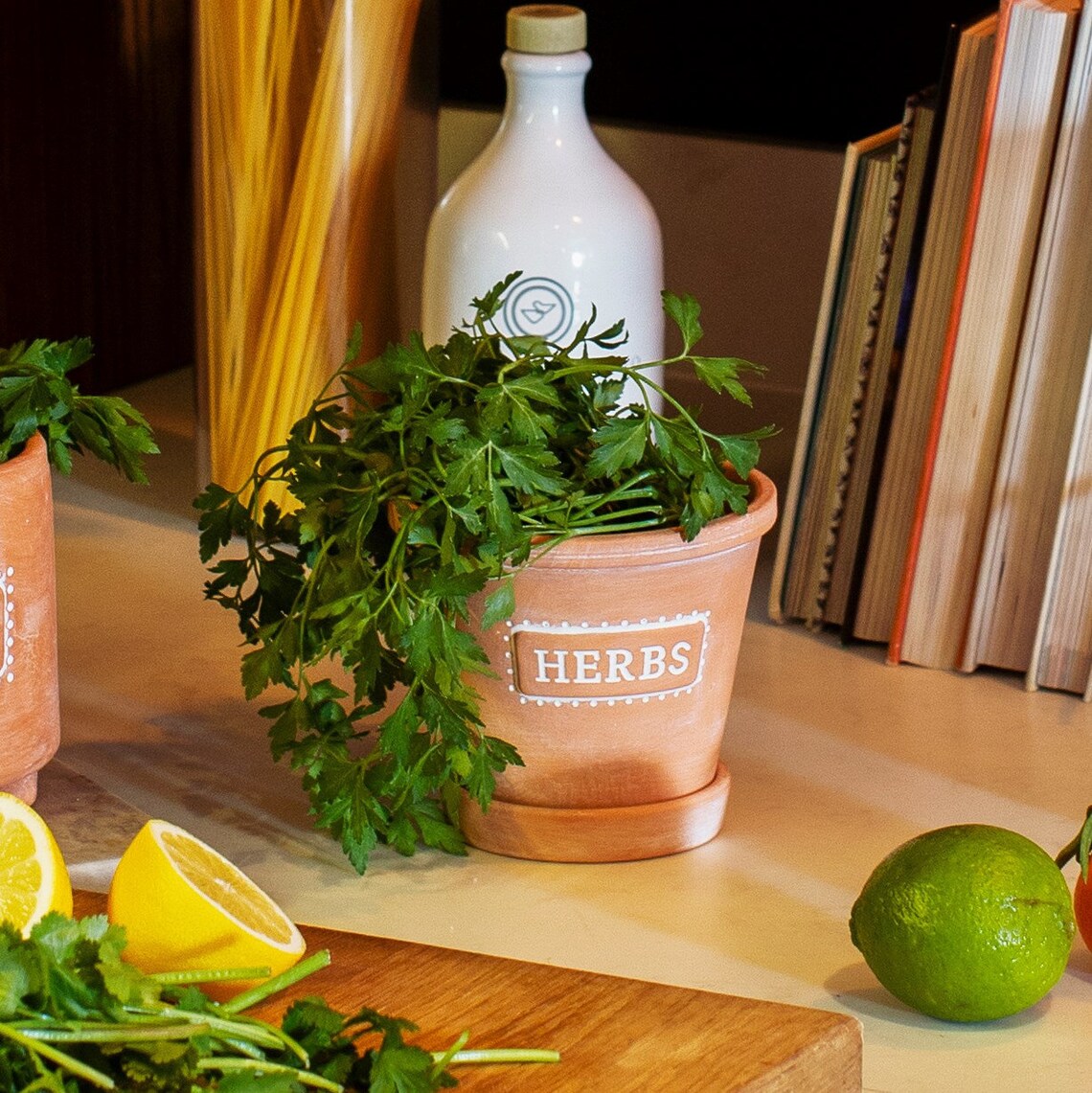 Herbs Terracotta Planter with Saucer Kitchen Plant Pot Herb | Etsy