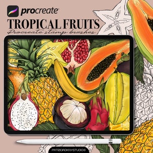 Procreate fruit brushes, high resolution tropical stamps, exotic fruit illustrations