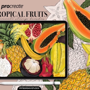 Procreate fruit brushes, high resolution tropical stamps, exotic fruit illustrations