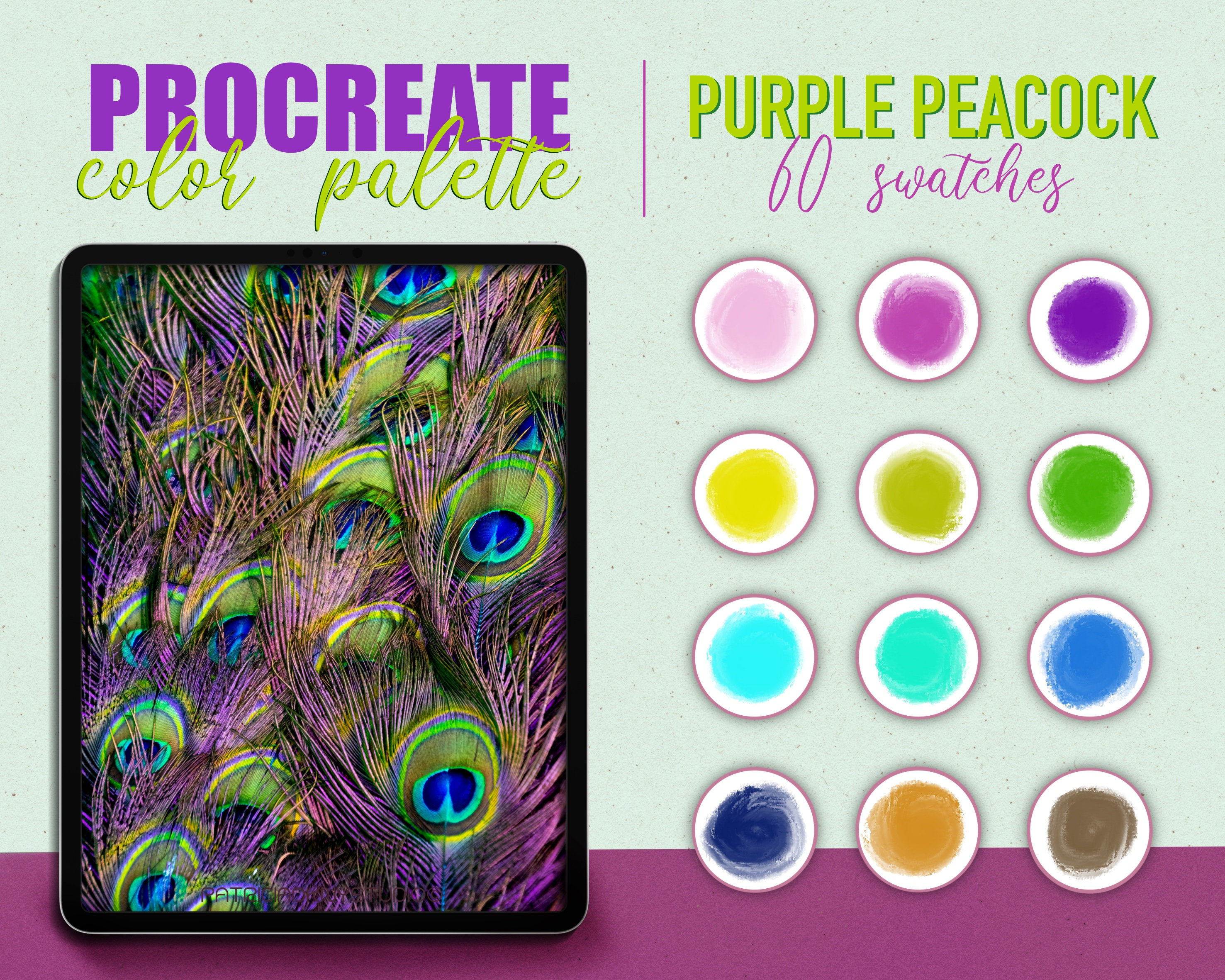 Peacock 2024 color palette