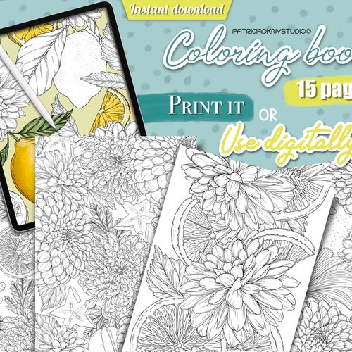 Coloring Book Coloring Pages for Adults Digital Coloring - Etsy