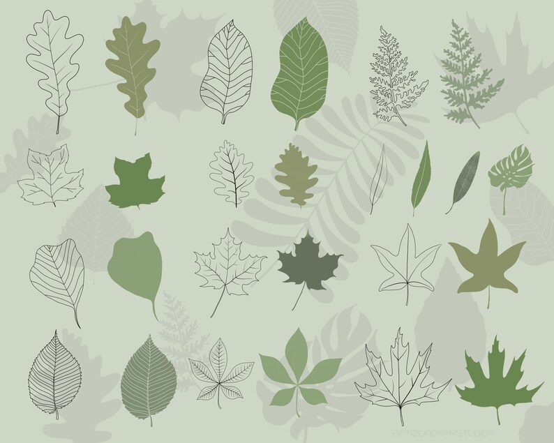 Leaf Procreate Brushes Botanical Digital Stamps Leaf Sticker Etsy