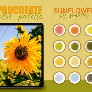 Procreate color palette - Sunflower color swatches