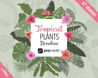 Procreate stamp brushes, Procreate tropical flower brushes, Procreate flower stamps, floral procreate brushes
