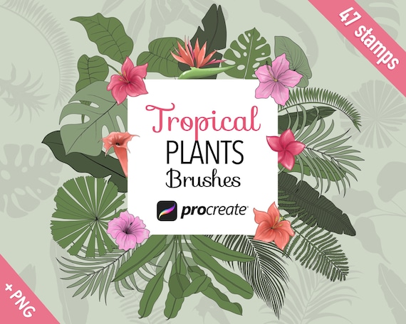 Procreate stamp brushes, Procreate tropical flower brushes, Procreate flower stamps, floral procreate brushes