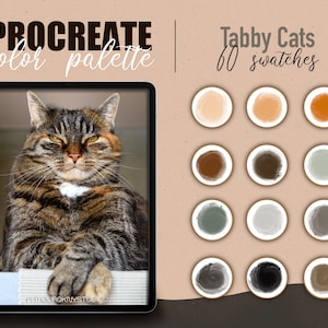 Palette de couleurs Procreate - Échantillons de couleurs de chat tigré