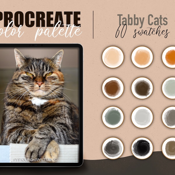 Cat Color Palette Etsy