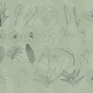 K&ouml;nnte beinhalten: Eine Sammlung von 25 Schwarzwei&szlig;-Linienzeichnungen von tropischen Pflanzen und Blumen. Die Zeichnungen umfassen Palmbl&auml;tter, Monstera-Bl&auml;tter, Hibiskusbl&uuml;ten, Frangipani-Bl&uuml;ten und andere tropische Bl&auml;tter.