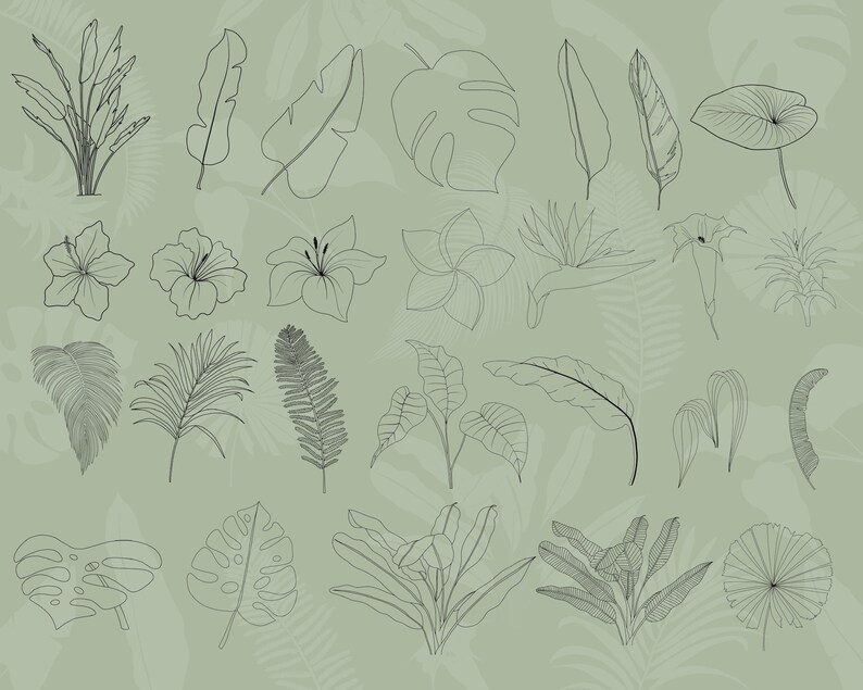 K&ouml;nnte beinhalten: Eine Sammlung von 25 Schwarzwei&szlig;-Linienzeichnungen von tropischen Pflanzen und Blumen. Die Zeichnungen umfassen Palmbl&auml;tter, Monstera-Bl&auml;tter, Hibiskusbl&uuml;ten, Frangipani-Bl&uuml;ten und andere tropische Bl&auml;tter.