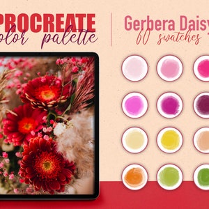Procreate color palette - Gerbera Daisy flower color swatches