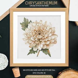 May include: Cross stitch pattern of a white chrysanthemum flower with green leaves. The pattern is 200 stitches wide and 200 stitches tall and uses 38 DMC colors.
